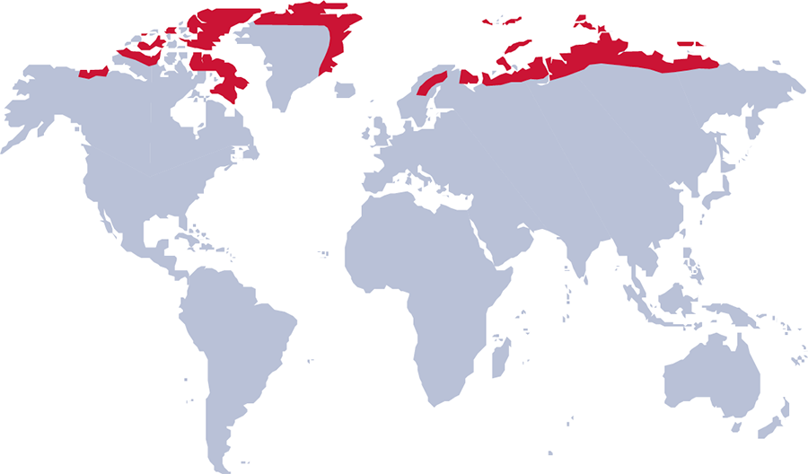 Distribution Map