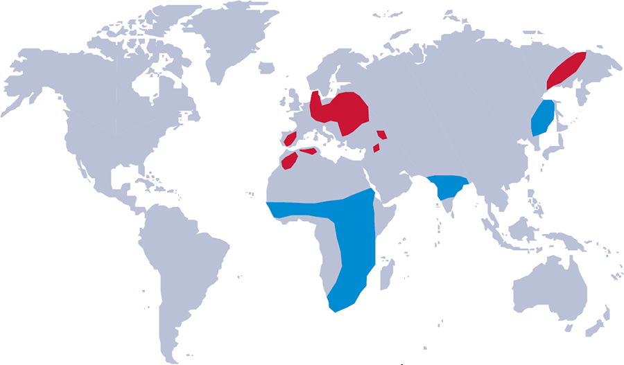 Distribution Map