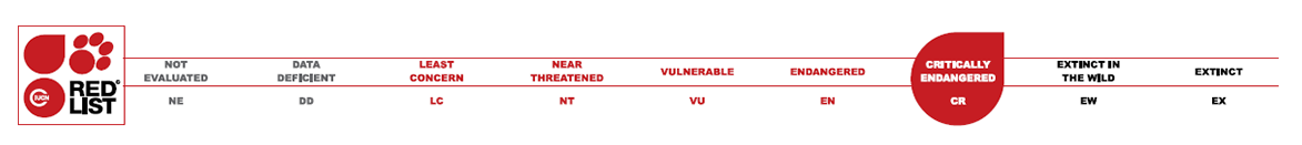 CR = Critically Endangered
